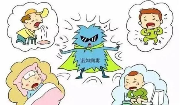 诺如病毒后可导致急性胃肠炎,一般在摄入病毒后12～48小时出现症状,最